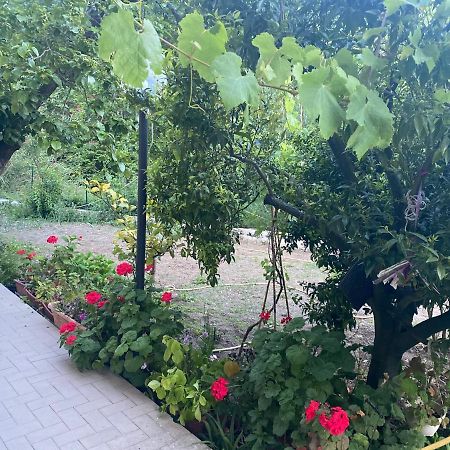 Proprietà intero Allogio con parcheggio Vila Sestri Levante Exterior foto